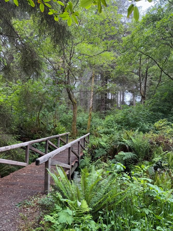 Rim Trail and Overlooks